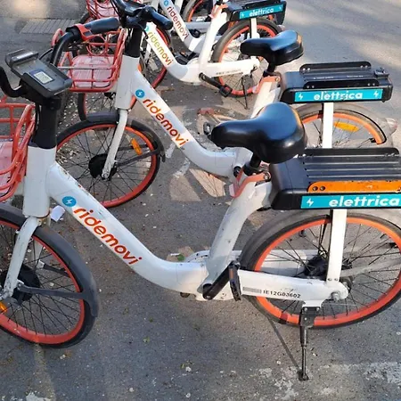 Fiera Bolognina - Komodo - Completo Con Giardino