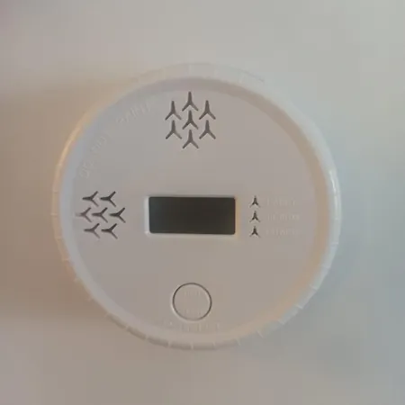 Fiera Bolognina - Komodo - Completo Con Giardino