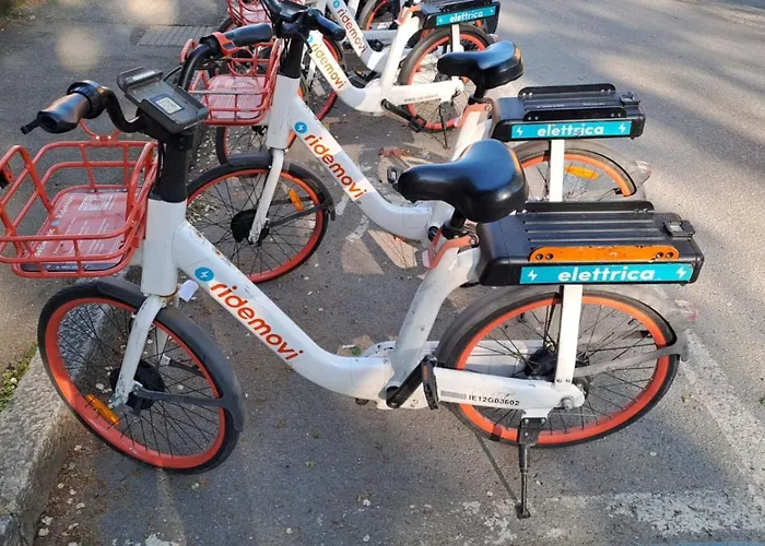 Fiera Bolognina - Komodo - Completo Con Giardino