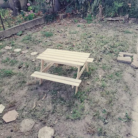 Fiera Bolognina - Komodo - Completo Con Giardino